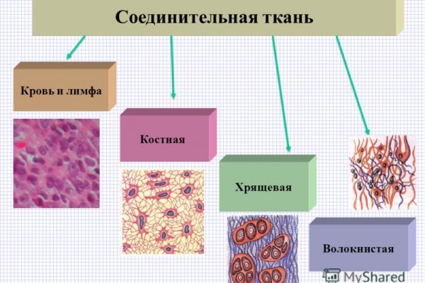 Кракен маркет только через тор