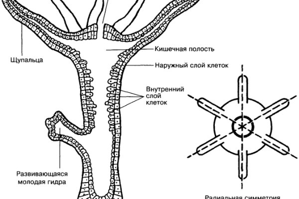 Кракен сайт kr2web in цены