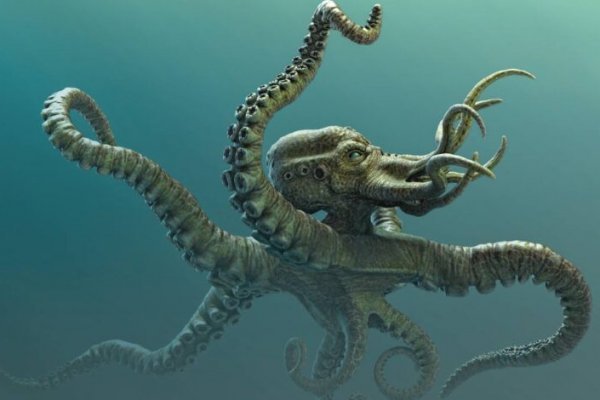 Kraken адрес